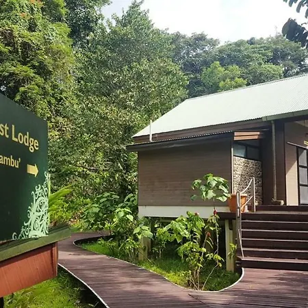 Mulu National Park Hotel Exterior photo